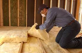 Best Commercial Insulation Services  in Vla Park, IL