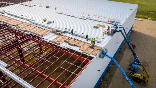 Best Radiant Barrier Insulation  in Vla Park, IL