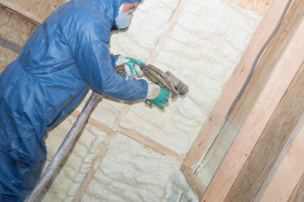 Best Wall Insulation Installation  in Vla Park, IL